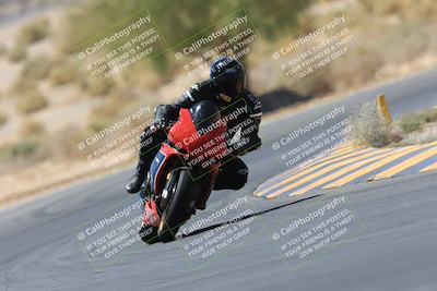 media/May-14-2023-SoCal Trackdays (Sun) [[024eb53b40]]/Turn 5 Tree of Life (1125am)/